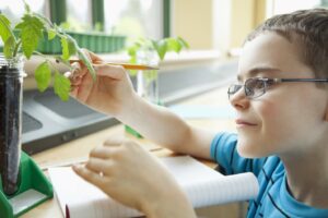 Image of a boy observing a plant